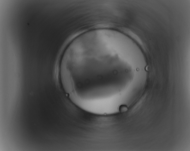 X0000100761179200807031143