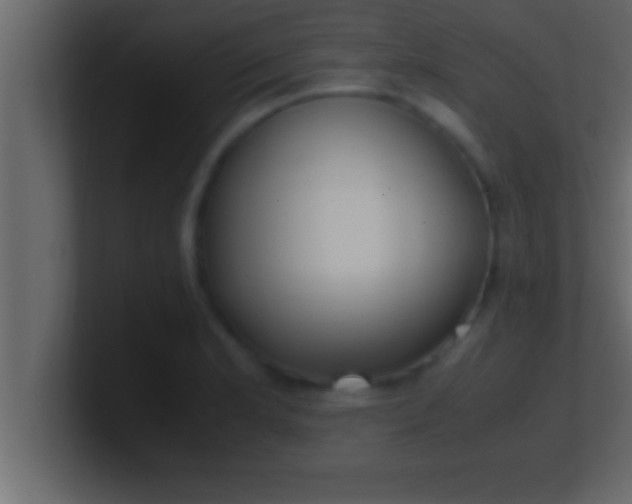 X0000100761181200807031143