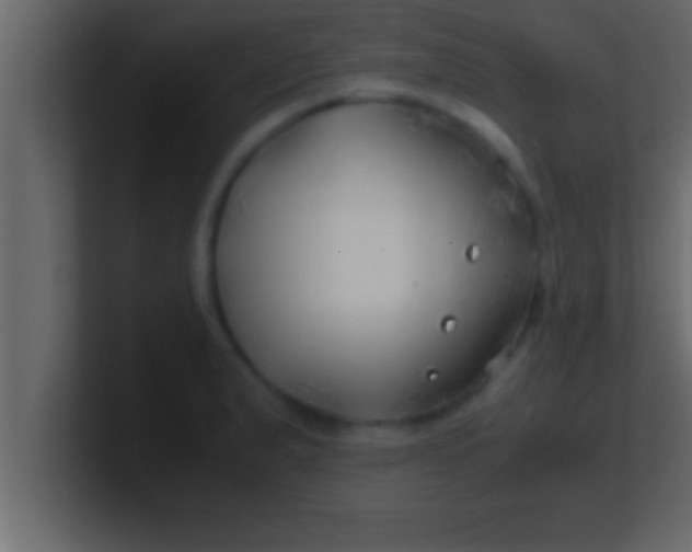 X0000100761183200807031143