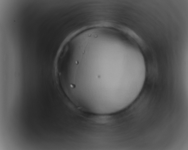 X0000100761184200807031143