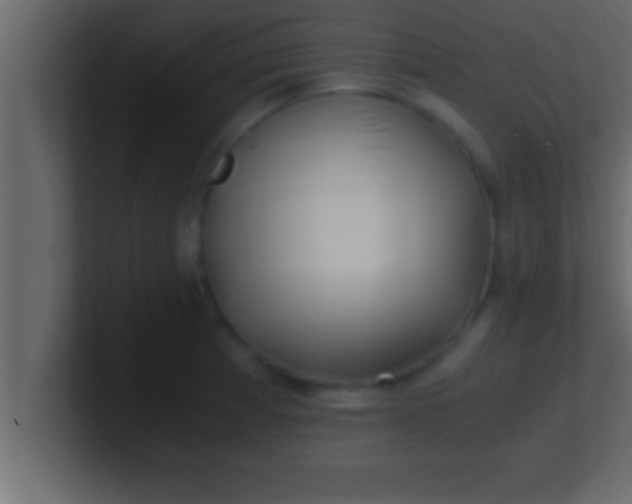 X0000100761185200807031143