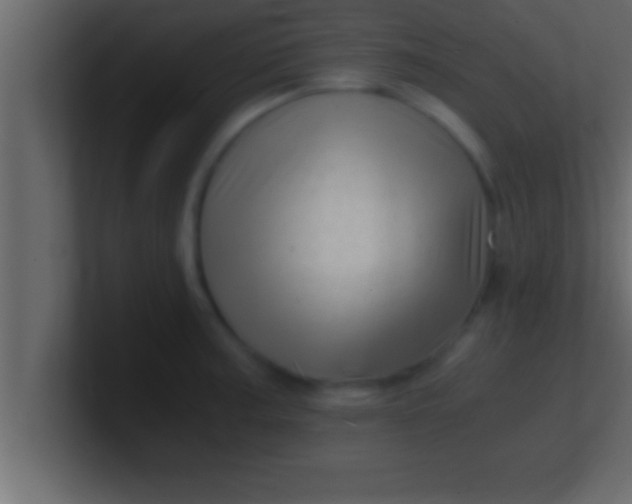 X0000100761187200807031143