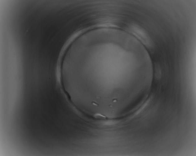 X0000100761188200807031143