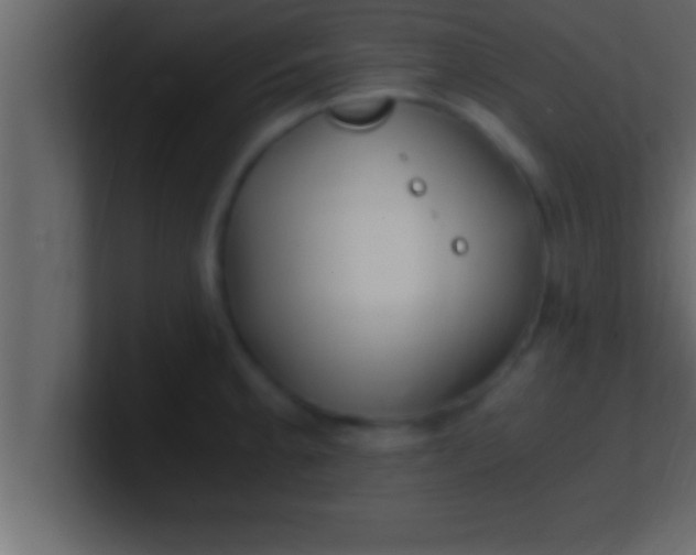 X0000100761189200807031143