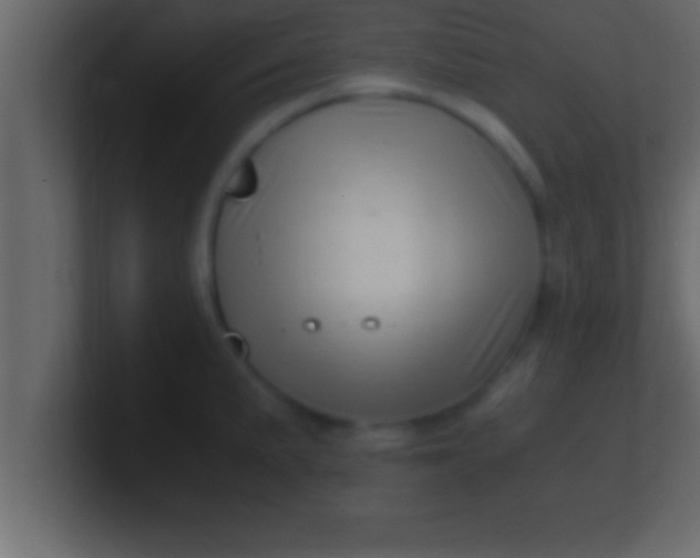 X0000100761191200807031143