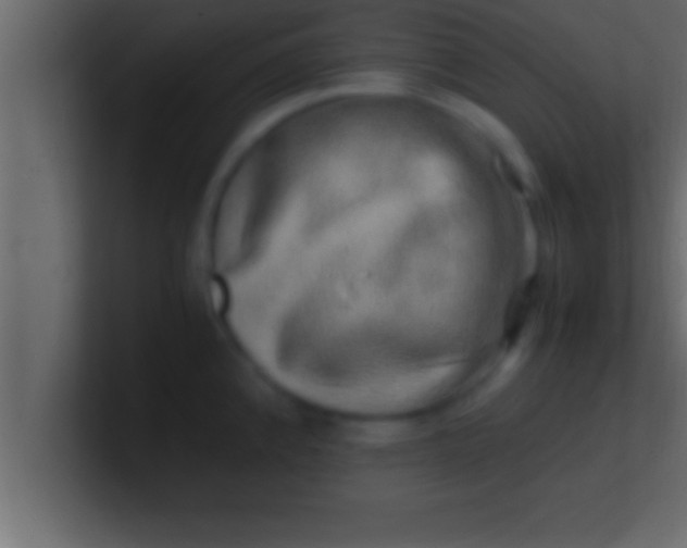 X0000100761192200807031143