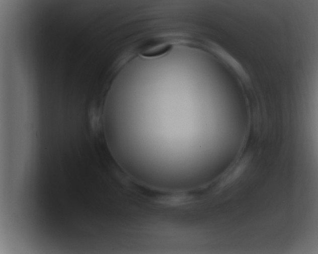 X0000100761193200807031143