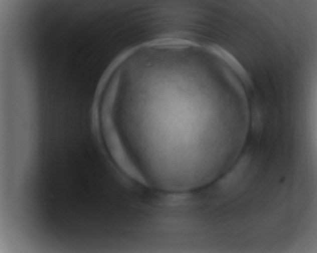 X0000100761196200807031143