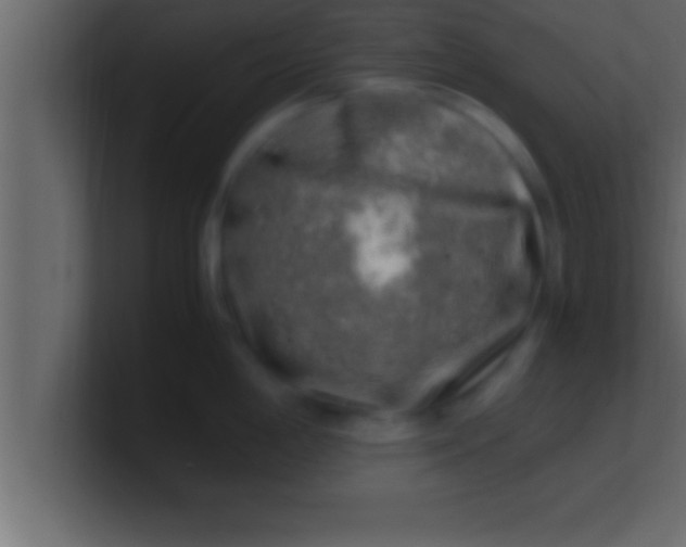 X0000100761198200807031143