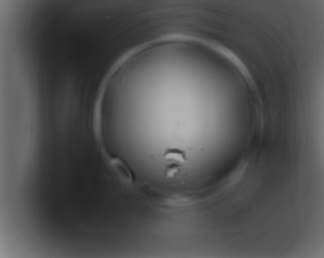 X0000100761199200807031143