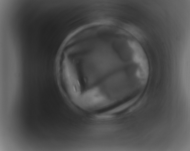 X0000100761200200807031143