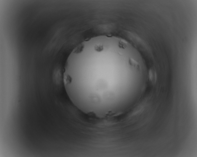 X0000100761203200807031143