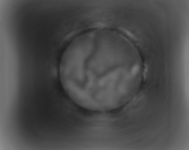 X0000100761206200807031143