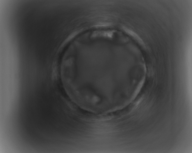 X0000100761208200807031143