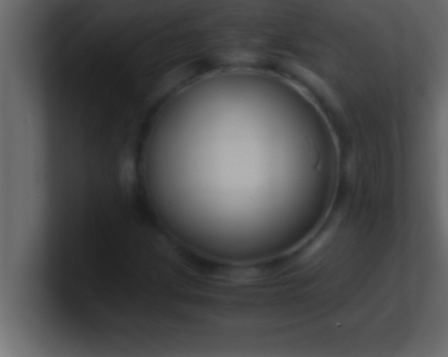 X0000100761209200807031143