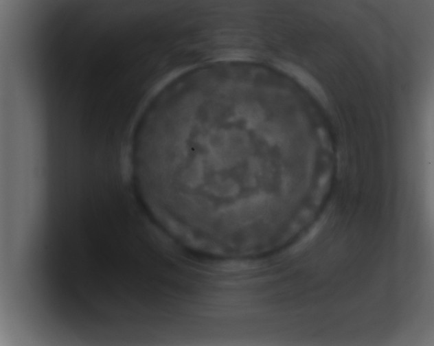 X0000100761212200807031143