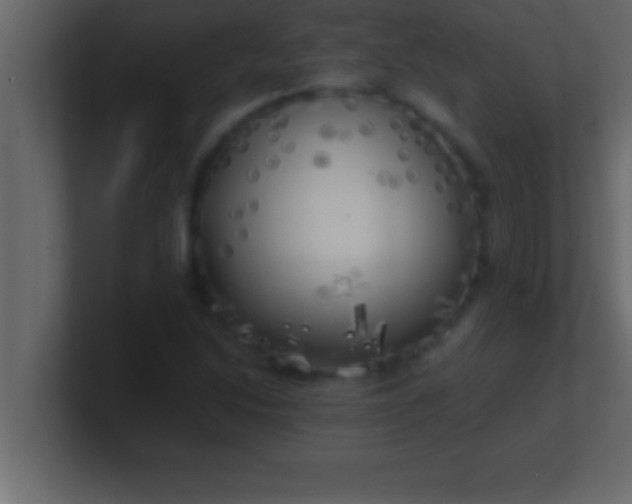 X0000100761214200807031143