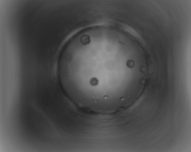 X0000100761216200807031143