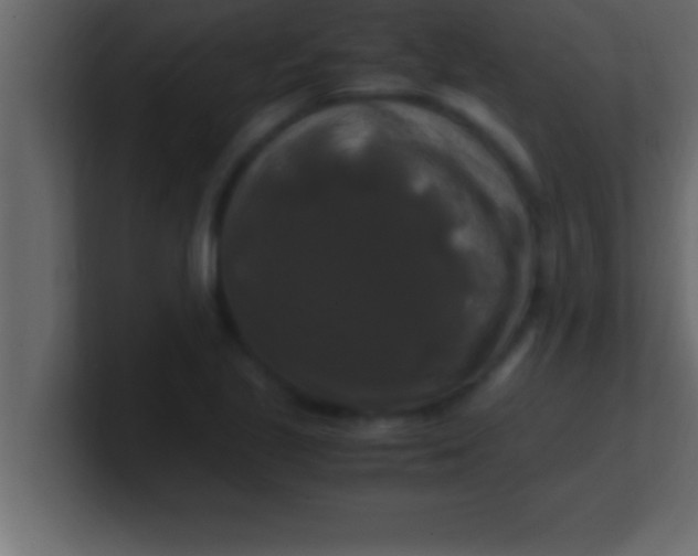 X0000100761221200807031143