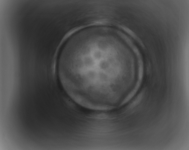 X0000100761222200807031143