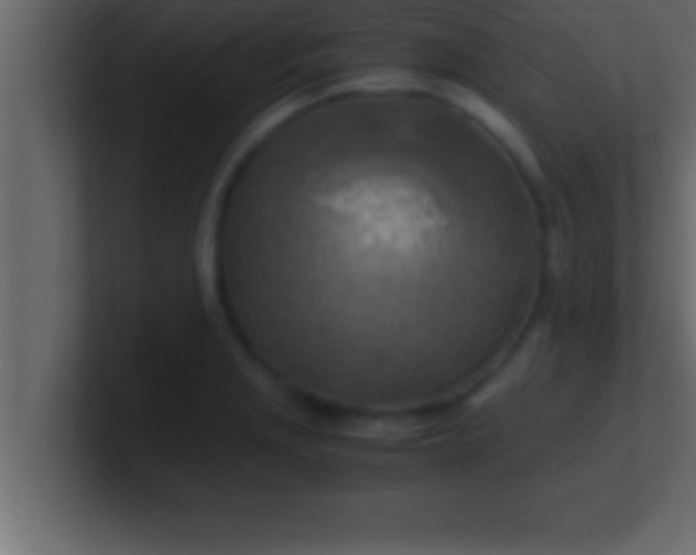 X0000100761229200807031143