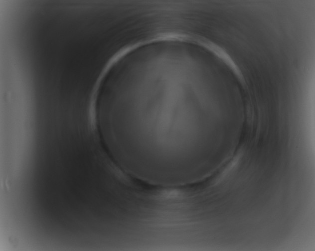 X0000100761230200807031143