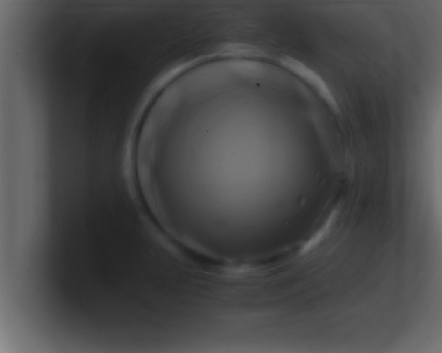 X0000100761231200807031143