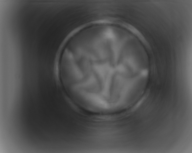 X0000100761232200807031143