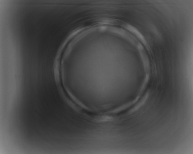 X0000100761235200807031143