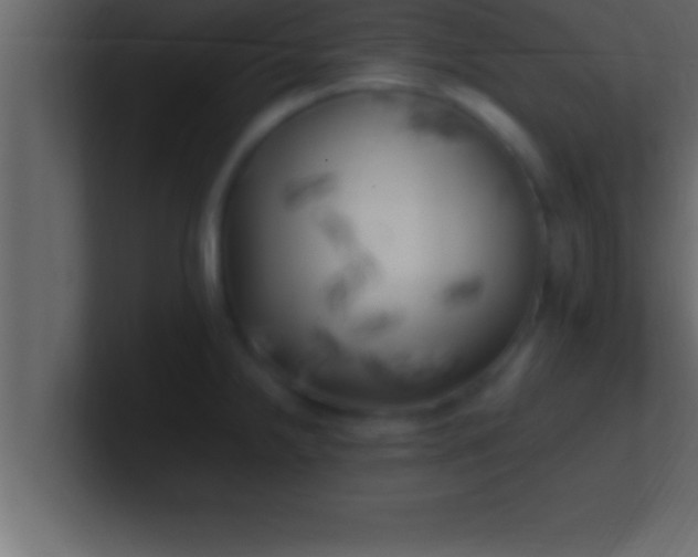 X0000100761238200807031143