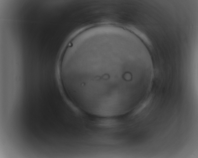 X0000100761239200807031143