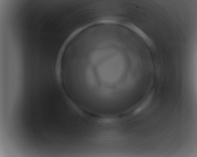 X0000100761240200807031143