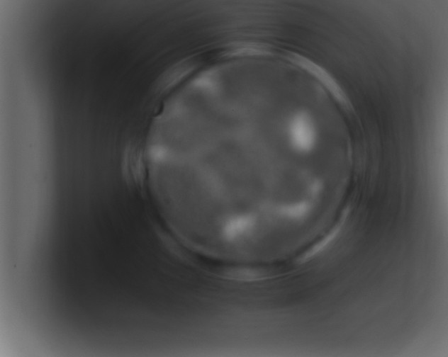 X0000100761241200807031143