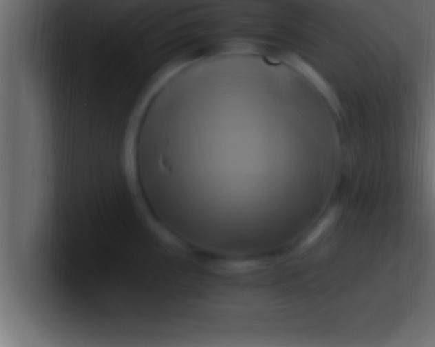 X0000100761243200807031143