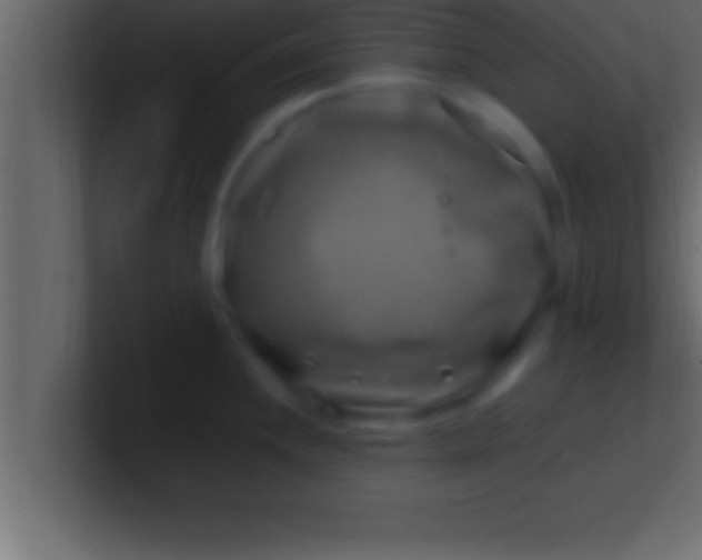 X0000100761244200807031143