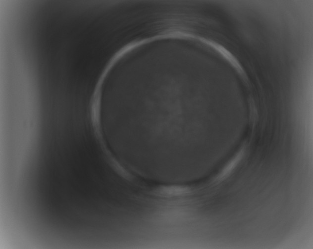 X0000100761246200807031143