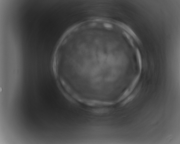 X0000100761247200807031143