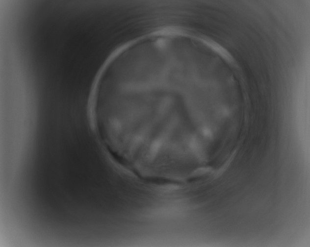 X0000100761248200807031143