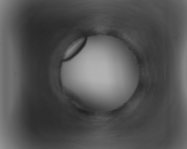 X0000100761249200807031143