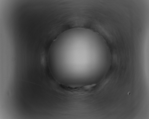 X0000100761250200807031142