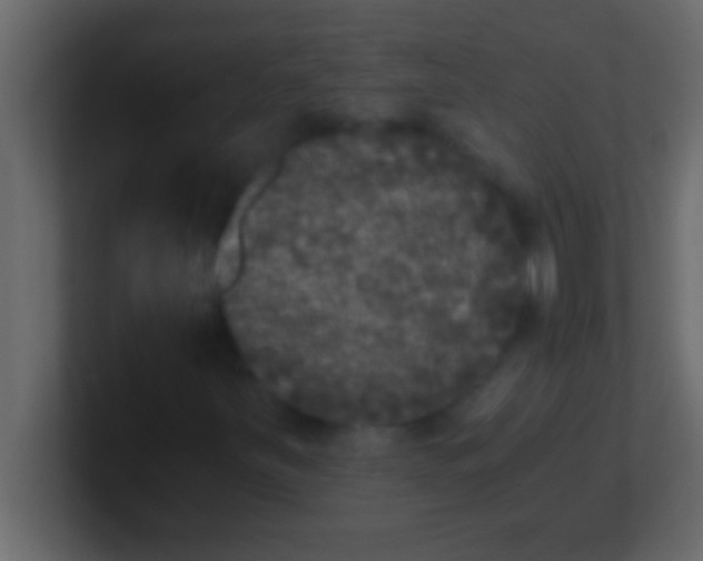 X0000100761251200807031142