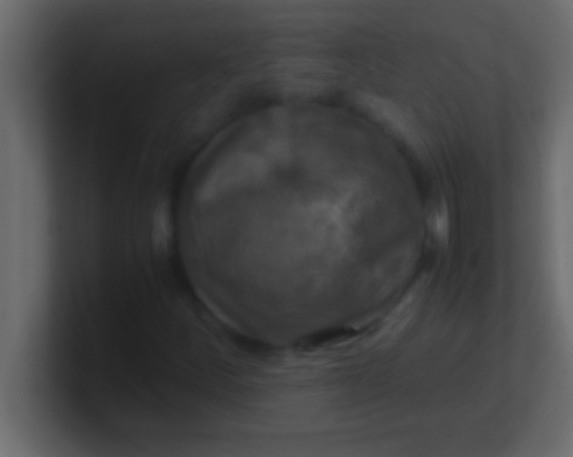 X0000100761252200807031142