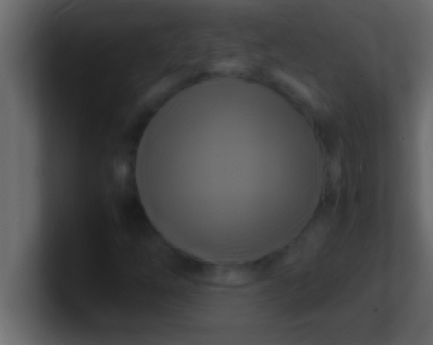 X0000100761254200807031142