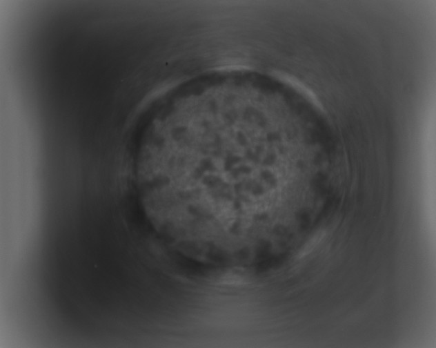 X0000100761255200807031142