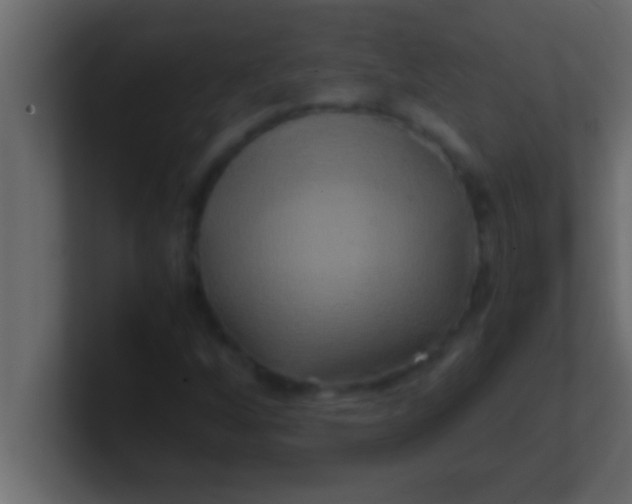 X0000100761256200807031142