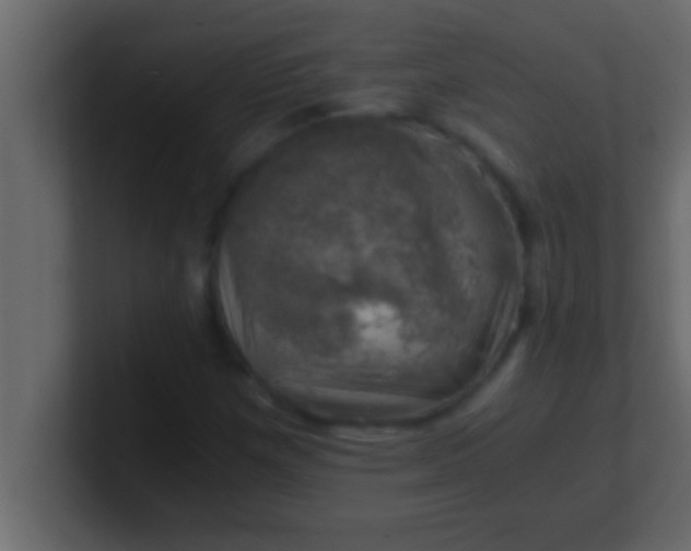 X0000100761257200807031142