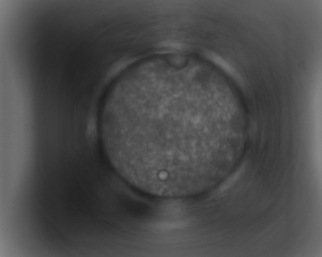 X0000100761259200807031142