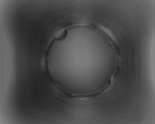 X0000100761260200807031142