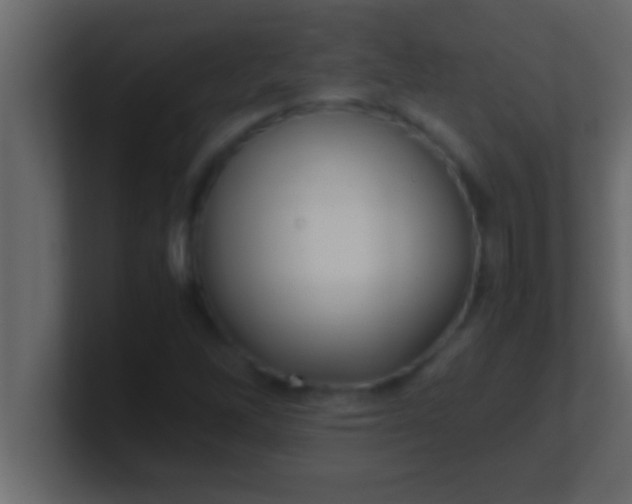 X0000100761262200807031142