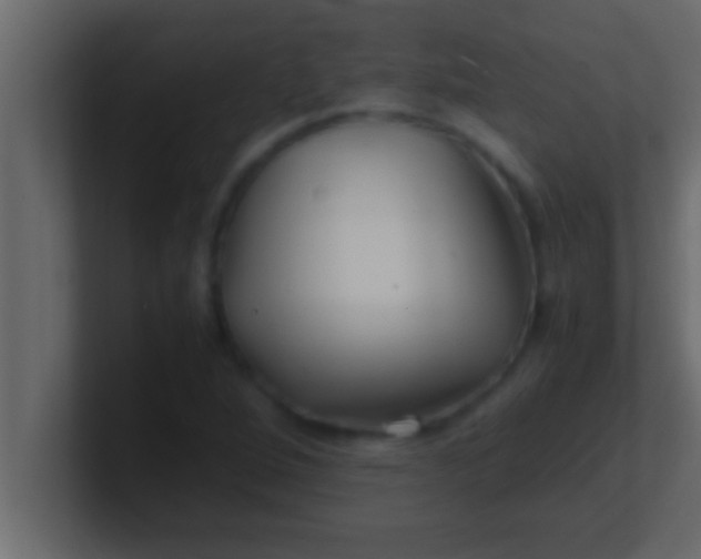 X0000100761264200807031142